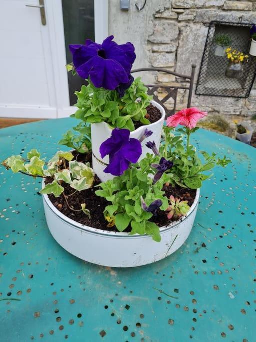 Appartement De La Laiterie Avec Petit Jardin. Eysus Eksteriør billede