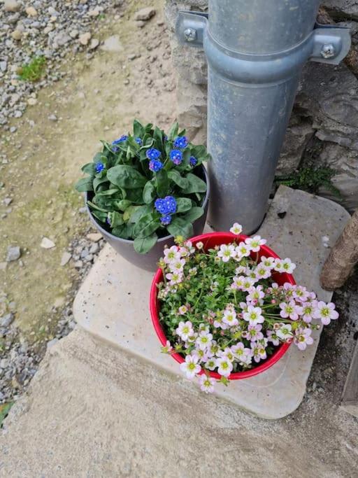 Appartement De La Laiterie Avec Petit Jardin. Eysus Eksteriør billede