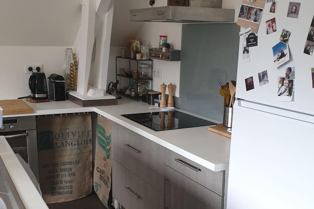 Appartement De La Laiterie Avec Petit Jardin. Eysus Eksteriør billede