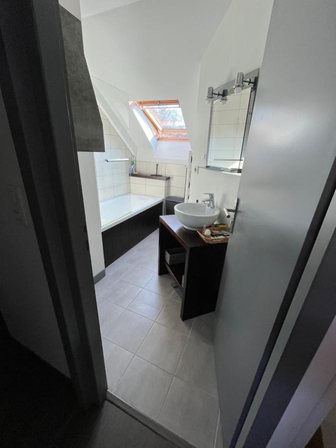 Appartement De La Laiterie Avec Petit Jardin. Eysus Eksteriør billede